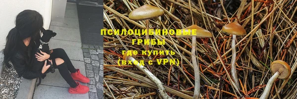 гашик Корсаков