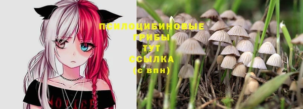 марки lsd Костерёво