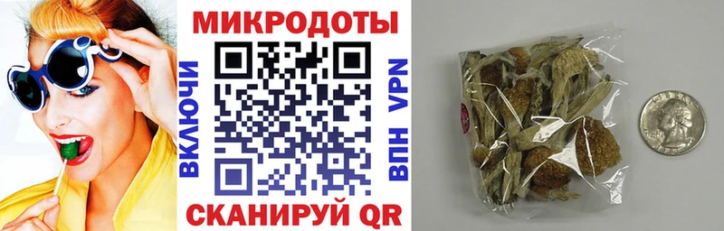 Галлюциногенные грибы Magic Shrooms  Купить закладки  Кунгур 